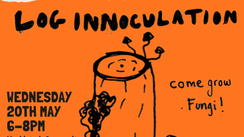 Log+Innoculation+Workshop