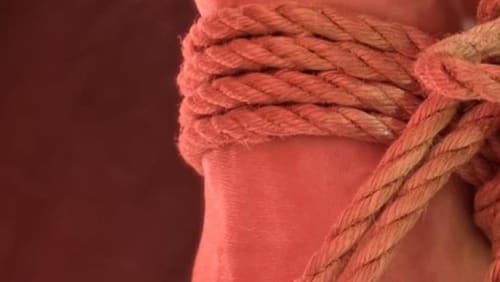 Spicy+Rope+101+with+Sophia+Rose