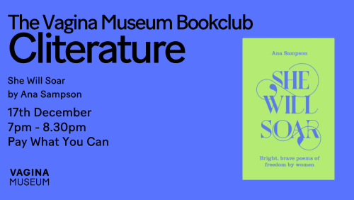 Cliterature%3a+the+Vagina+Museum+Bookclub+-+She+Will+Soar+by+Ana+Sampson