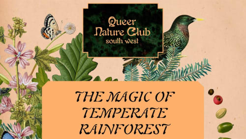 The+Magic+of+Temperate+Rainforest