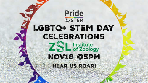 LGBTQ%2bSTEM+Day+2025+Talks+%26+Celebrations