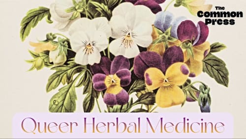Queer+Herbal+Medicine%3a+Herbs+for+trans+health