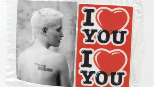 Alpha%e2%80%99s+Top+Surgery+Fundraiser