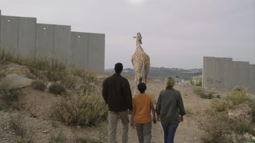 Film+Screening%3a+Giraffada+by+Rani+Massalha