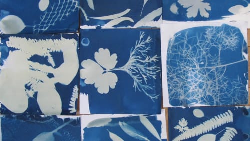 Workshop%3a+Eco+Printing%3a+Sun+Prints%2fCyanotypes