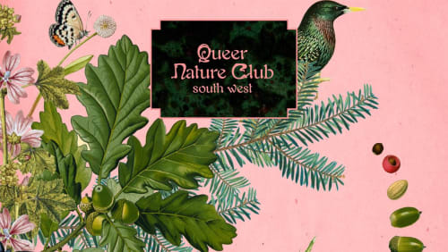 Queer+Nature+Club+Meet-up+at+Lighthouse%2c+Poole