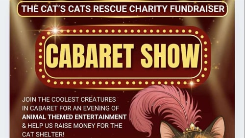 CATS+CATS+CABARET+SHOW