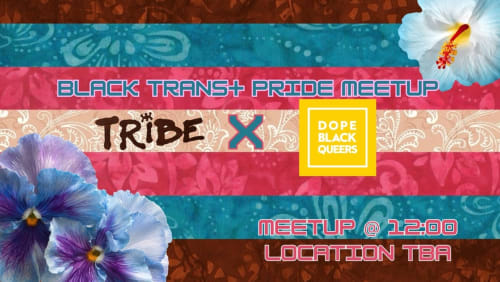 Trans+Pride+Meetup+and+meeting+point+for+black+lgbtqia%2b+people