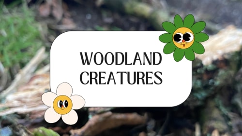 Silky+Floor+Social+-+Woodland+Creatures!+July+2025