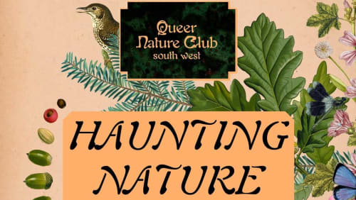 Haunting+Nature%3a+Queer+Nature+Club+at+Arlington+Court