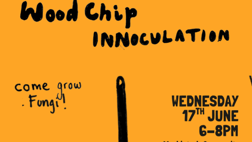 Wood+Chip+Innoculation