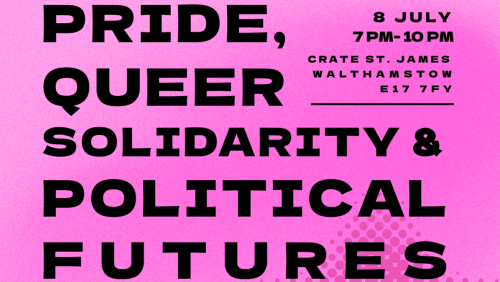 Panel+Discussion%3a++Pride%2c+Queer+Solidarity%2c+%26+Political+Futures