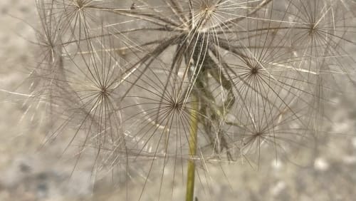 Elemental+Body+Workshops+%3a+Air+with+Becca+Parkinson+and+Ly+Orrock