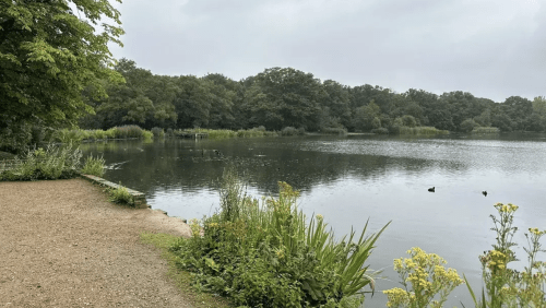 Walk%3a+Epping+Forest+loop+trail