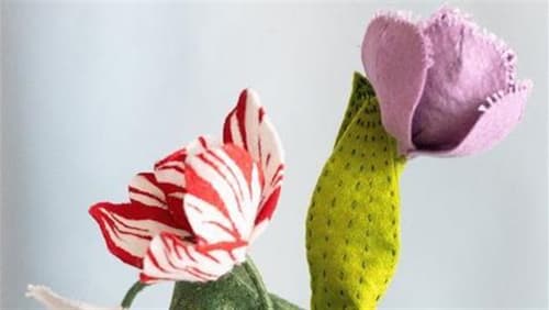 Queer+Minds+Workshop%3a+Botanical+Felt+Forms