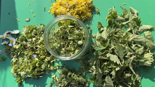 Herbal+First+Aid+