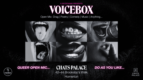 VoiceBox