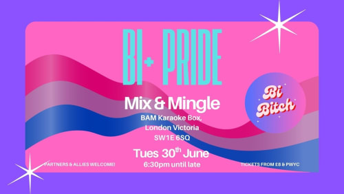 Bi+Bitch+Pride%3a+Bi%2b+Mix+%26+Mingle