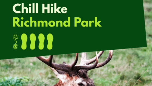 Chill+Hike+-+Richmond+Park