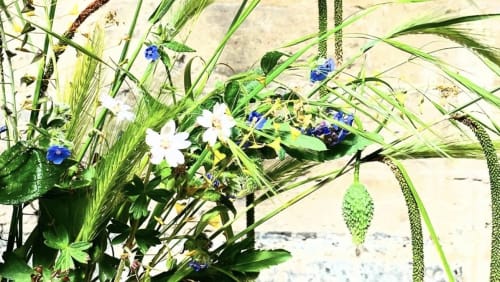 Foraged+Flower+Arranging+