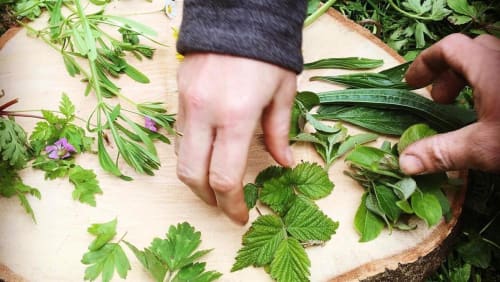 The+Power+of+Spring+Herbs