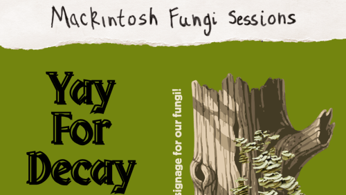 Yay+For+Decay!+
