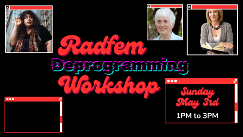 Radfem+Deprogramming+Workshop