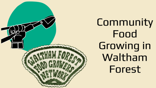 Intro+to+Community+Food+Growing+in+Waltham+Forest+