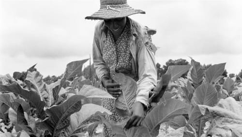 Contemplating+Black+Feminist+Ecologies+-+IN-PERSON+Reading+Group