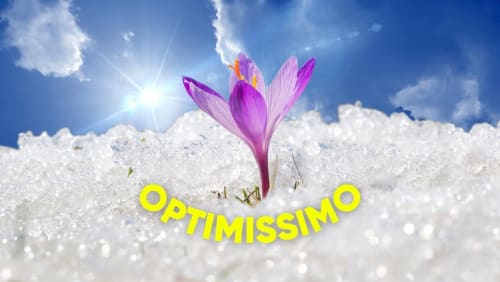 Optimissimo+002