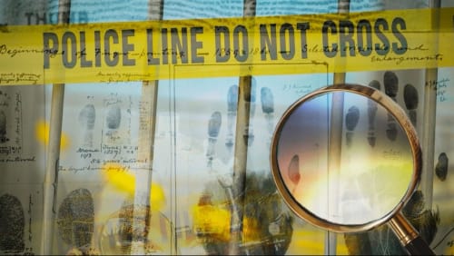 A+Girls+Guide+to+Staying+Alive%3a+The+Female+Gaze+in+True+Crime+Culture