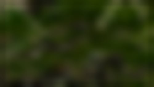 London+Gay+Symphonic+Winds+Christmas+Concert+%f0%9f%8e%84%f0%9f%8e%ba%f0%9f%93%af