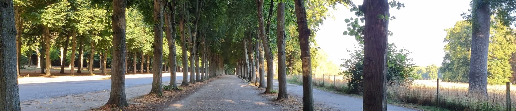 parc du château de Versailles