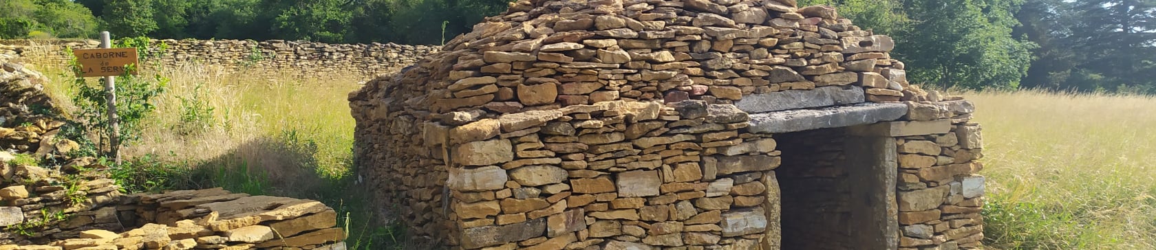 À la découverte des cabornes dans les Monts d'Or