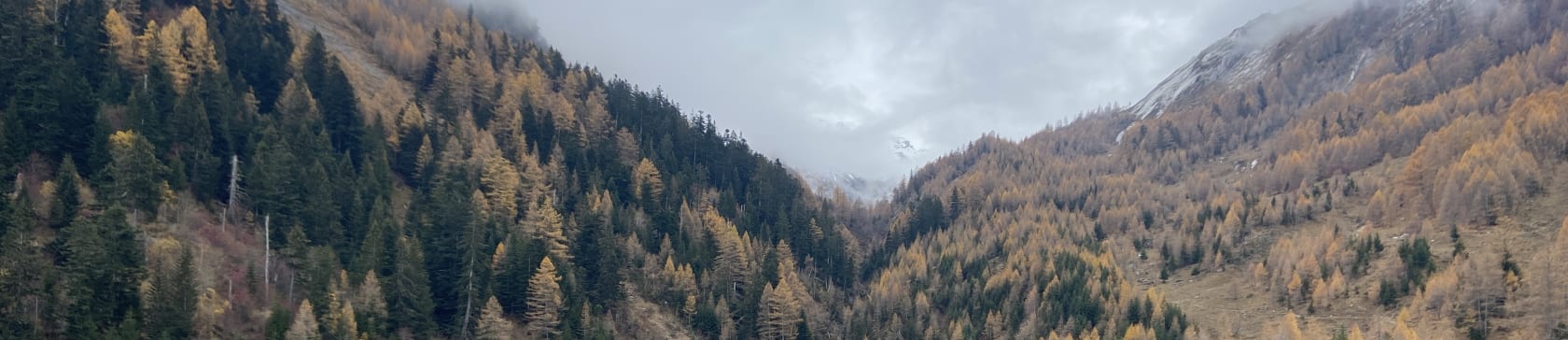 Lac de Derborence (Suisse)