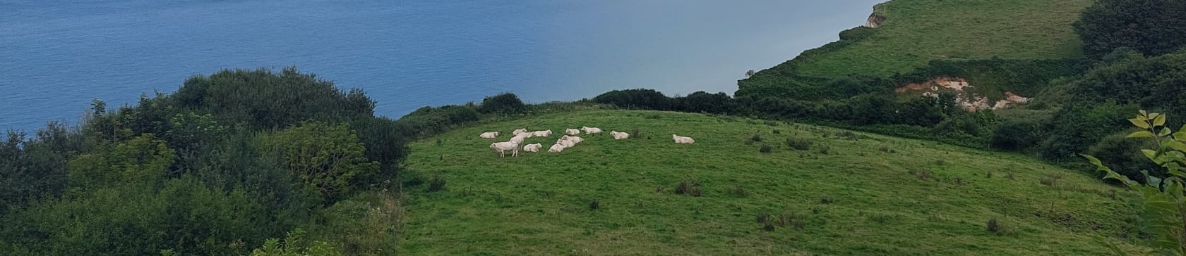 Randonnée Hautot-sur-Mer, entre terre et mer