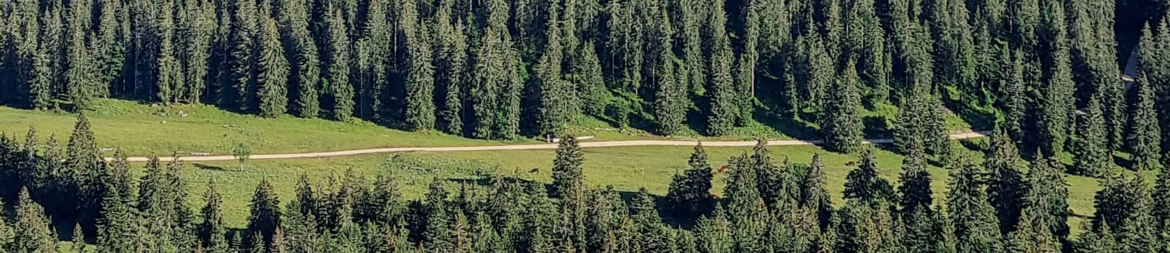 Randonnée Jura - le Mont Sâla