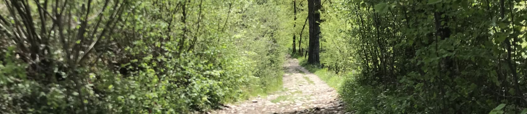 Randonnée Le Chemin de la Pomme