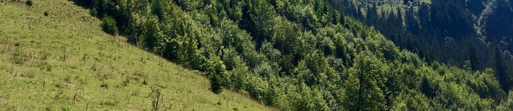 Randonnée Moléson, Alpes bernoises