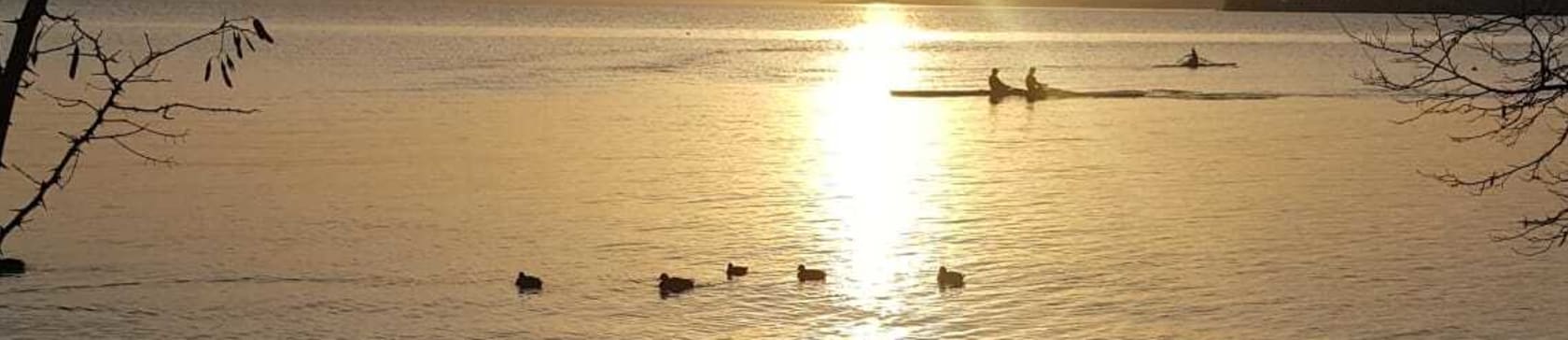 Courir à Lausanne, au bord du Léman