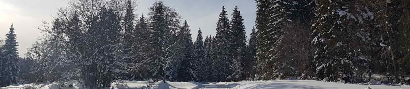 Station de ski de fond des Rousses, Jura