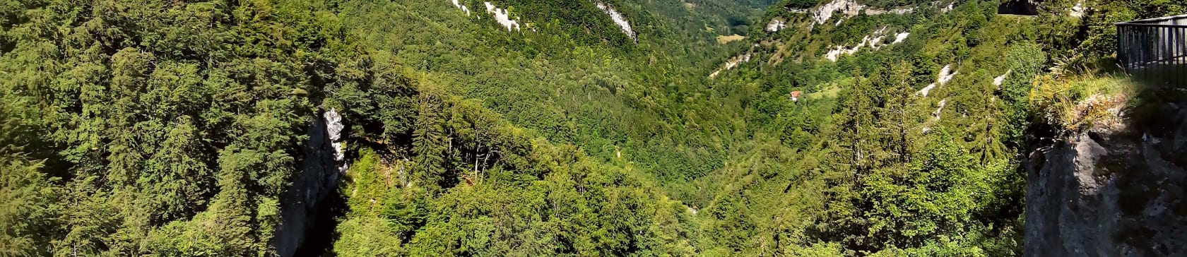 Randonnée sentiers des Chamois du Jura