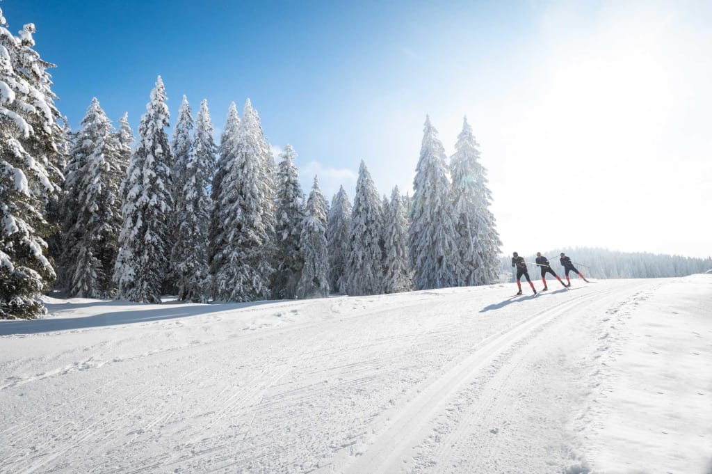 Ski de fond : TOP 5 des domaines nordiques