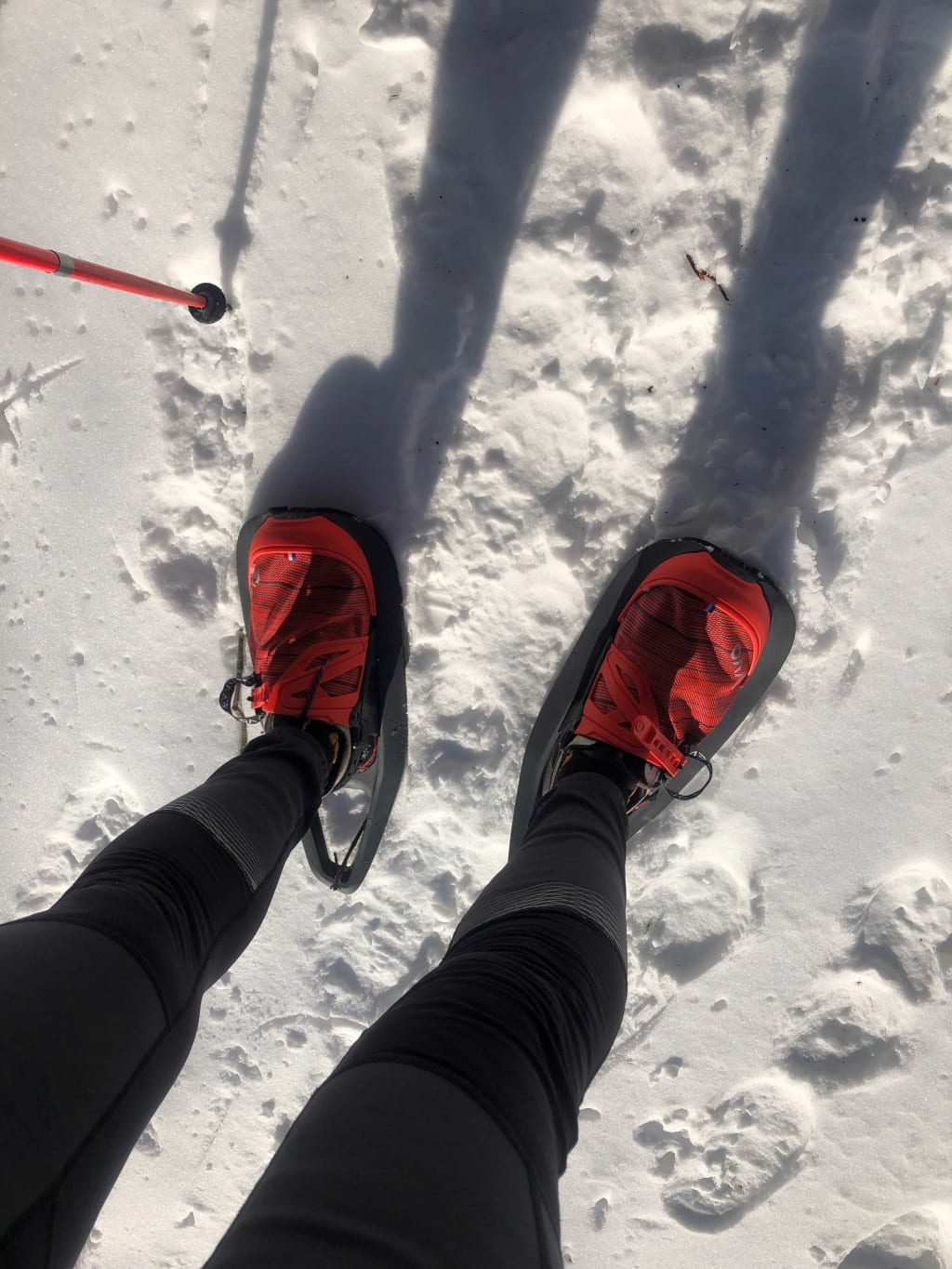 Tous savoir sur la raquette à neige - Evvo Snowshoe