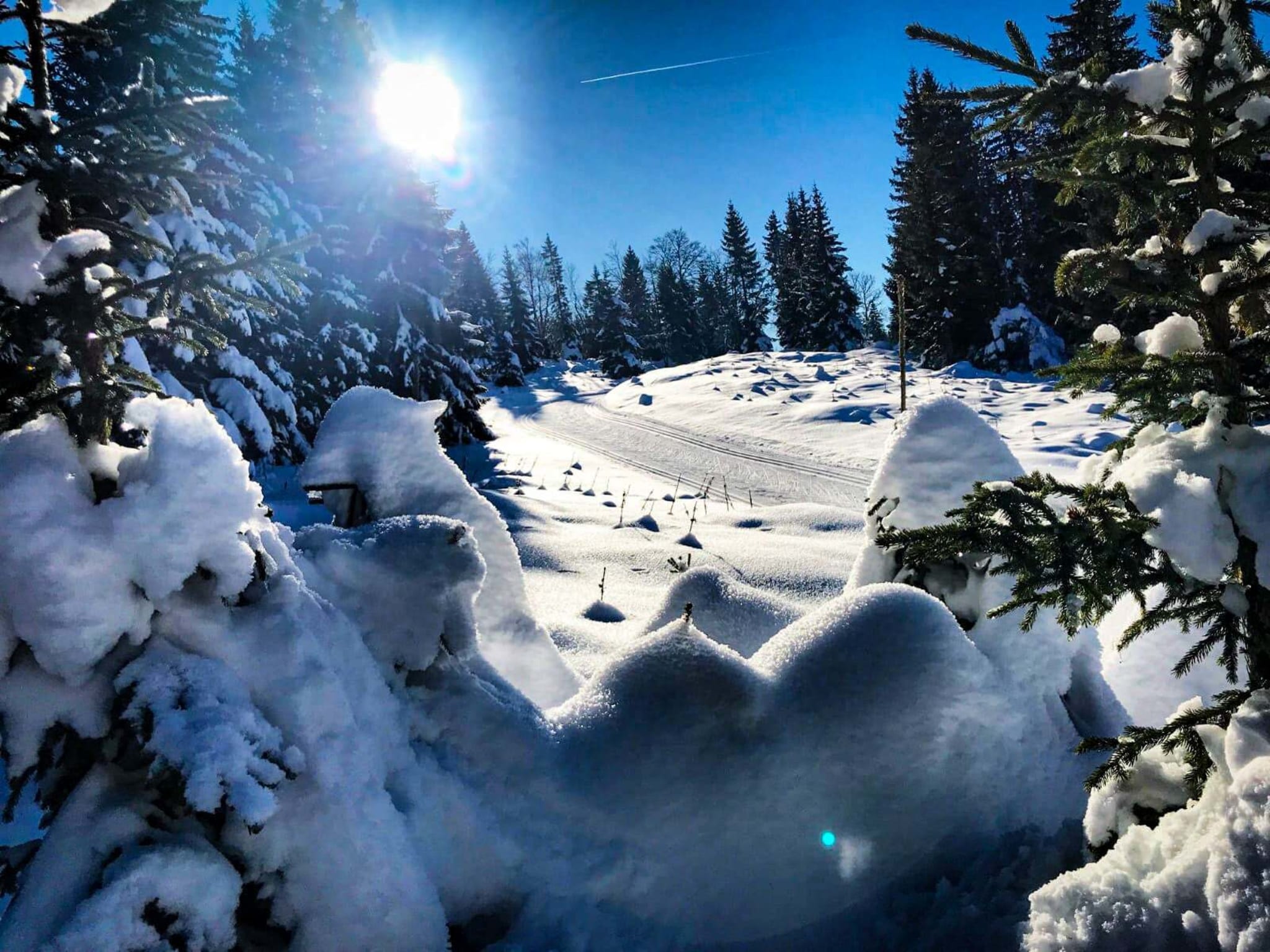 Belle photo ski de fond Tout savoir sur la pratique du ski de fond