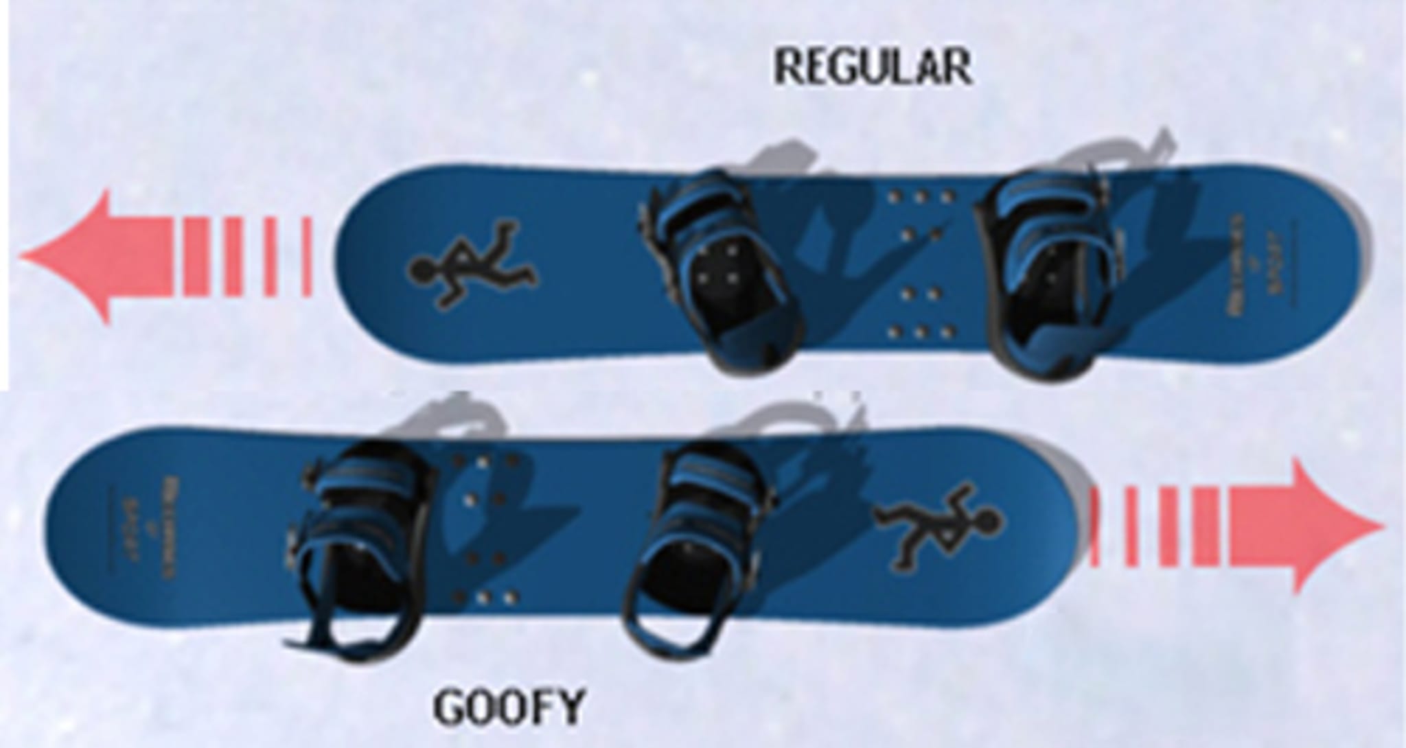 Position goofy et regular snowboard