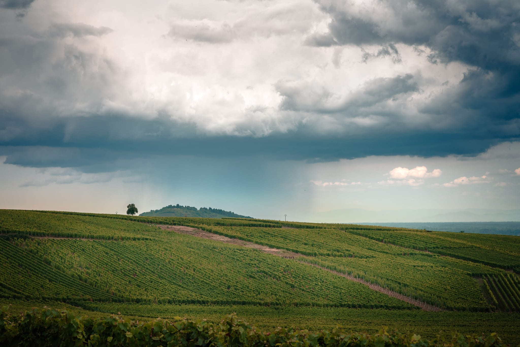 Randonnée en Alsace