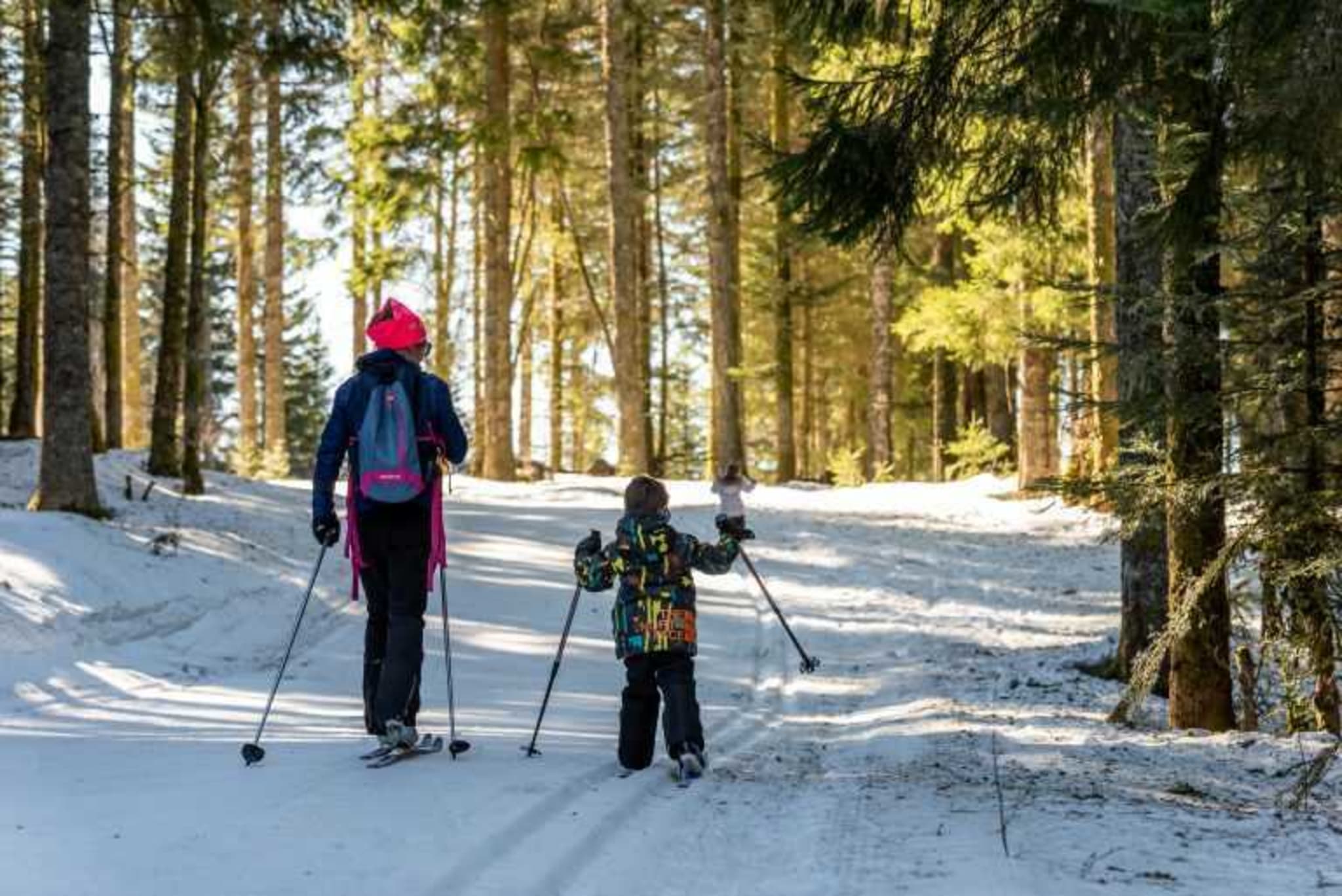 Ski de Fond Vosges Ouverture