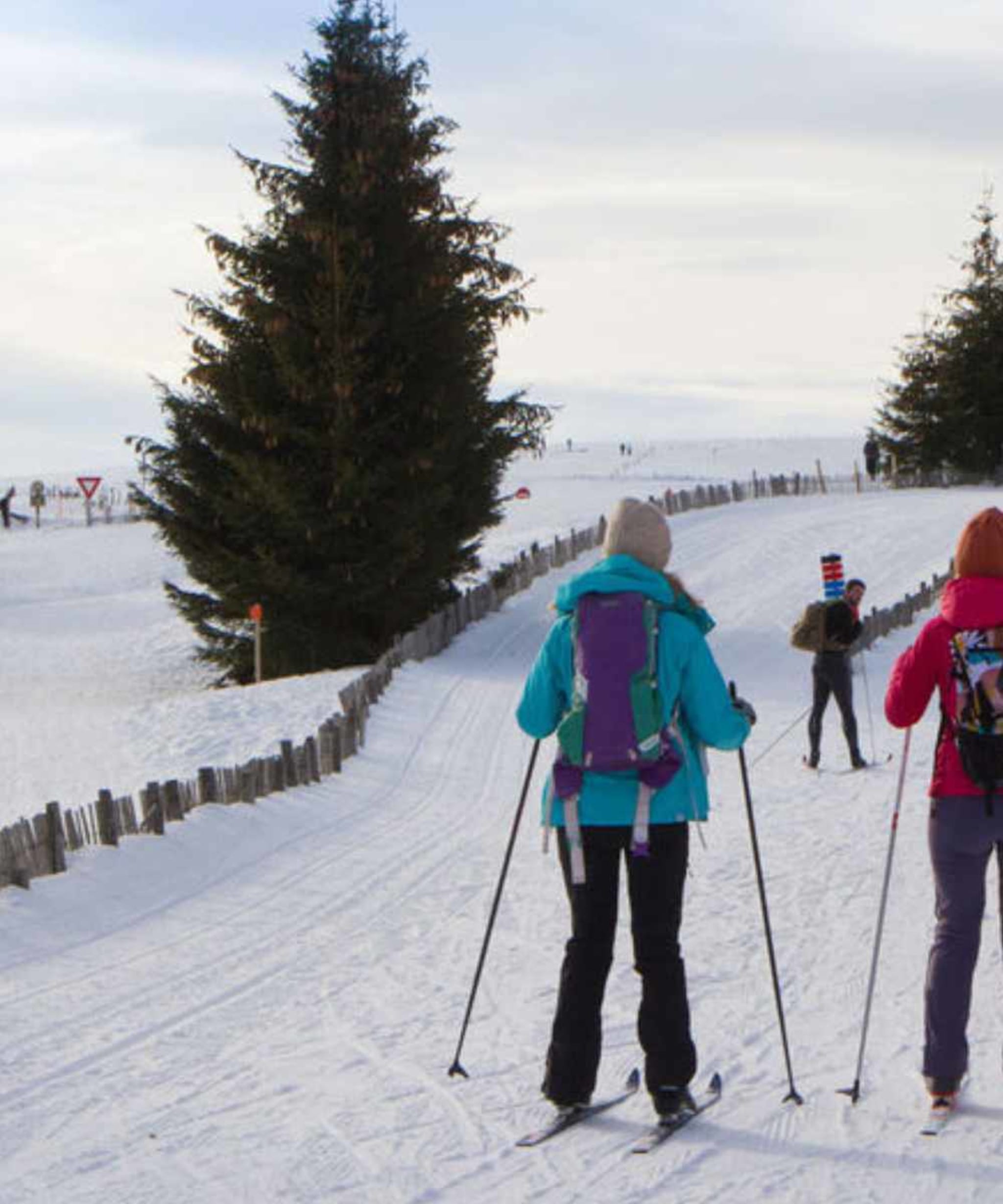 Ski de fond Auvergne 2