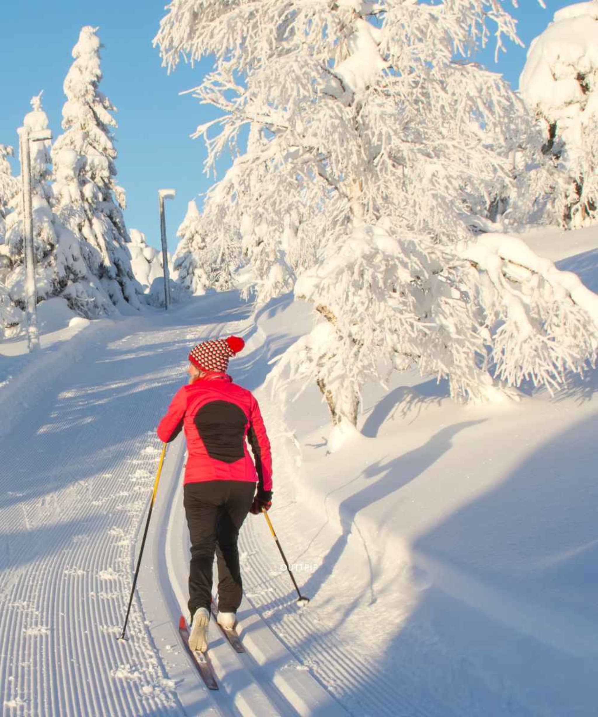 Ski de fond débutant 2